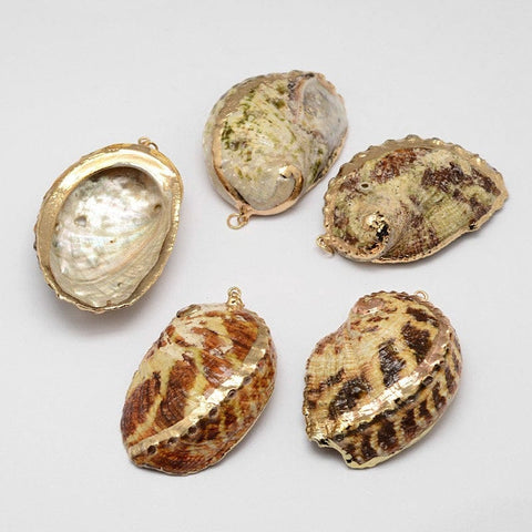 BeadsBalzar Beads & Crafts Natural Paua Shell Pendant, with Plated Golden Brass Findings (SH5252)