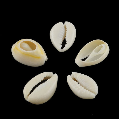 BeadsBalzar Beads & Crafts (SB5233) Mixed Spiral Shell Beads, Cowrie Shells 18-20MM (50 GMS)