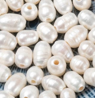 BeadsBalzar Beads & Crafts SEASHELL (PE5749) (PE5749-X) Pearl Beads, Oval,Size: about 7~10mm long (10 PCS)