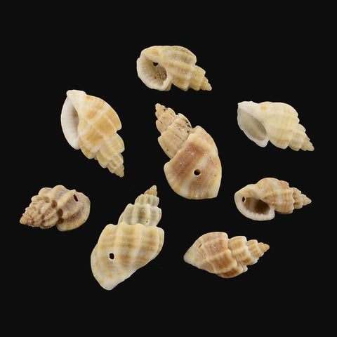 BeadsBalzar Beads & Crafts (SH5643) Spiral Shell Pendants, Peru Size: about 15~22mm long