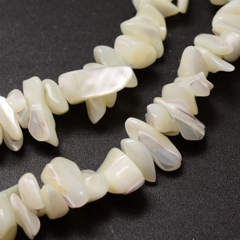 BeadsBalzar Beads & Crafts (SH5646) Natural Spiral Shell Beads Strands, Shell Shards, Chip, Ivory Size: about 5~8mm long