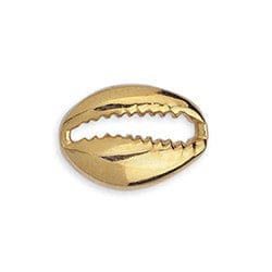 BeadsBalzar Beads & Crafts (GQ6488A) Good Quality Metal Alloy 19 x 14 Cowrie shell motif 20mm  24kt Gold Plated (4 pcs)