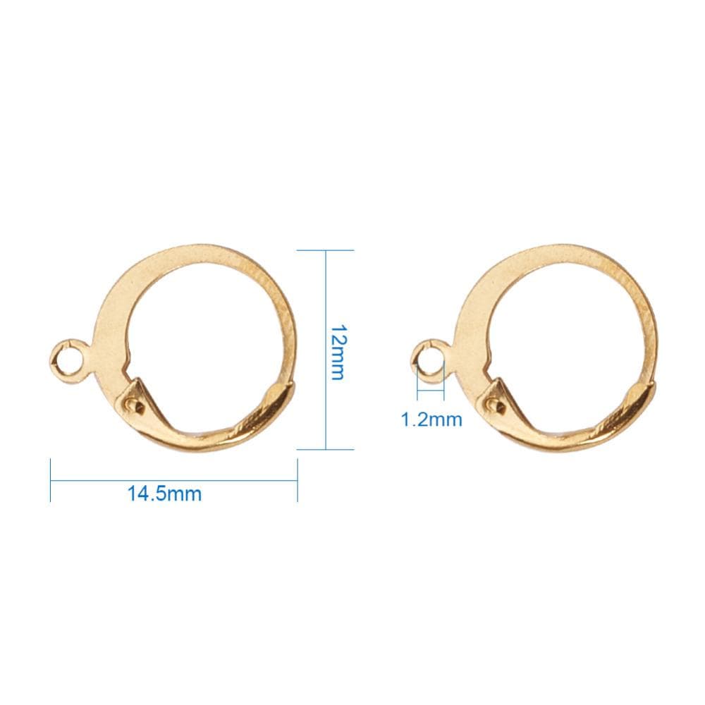 BeadsBalzar Beads & Crafts (SE5274-5PR) 304 Stainless Steel Leverback Earring Findings, with Loop (5 PAIRS)