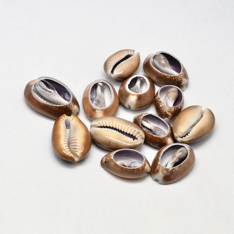 BeadsBalzar Beads & Crafts (SH5617) Cowrie Shell Oval Beads, No Hole, Camel 26~35mm