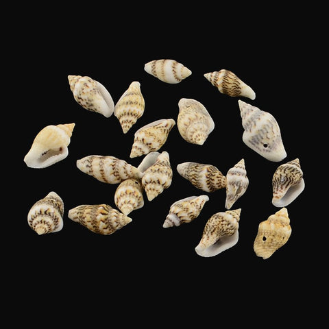 BeadsBalzar Beads & Crafts (SH5728) Spiral Shell Charm Pendants, PaleGoldenrod Size: about 13~19mm long,