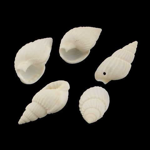 BeadsBalzar Beads & Crafts (SH5734) Spiral Shell Pendants, FloralWhite Size: about 21~25mm (25 GMS)