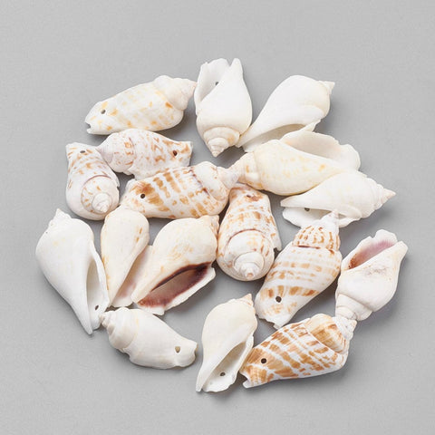 BeadsBalzar Beads & Crafts (SH5742) Conch Shell Beads, Seashell Size: about 30~45mm wide, 15~25mm long