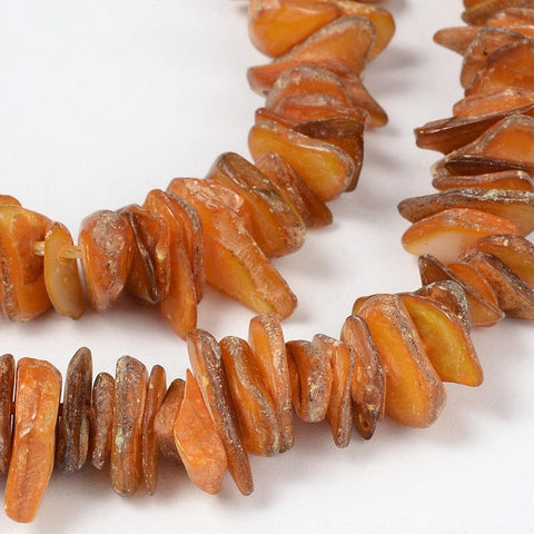 BeadsBalzar Beads & Crafts (SH7192-1) Natural Shell Beads Strands, Chips, Dyed, Orange  6~15mm